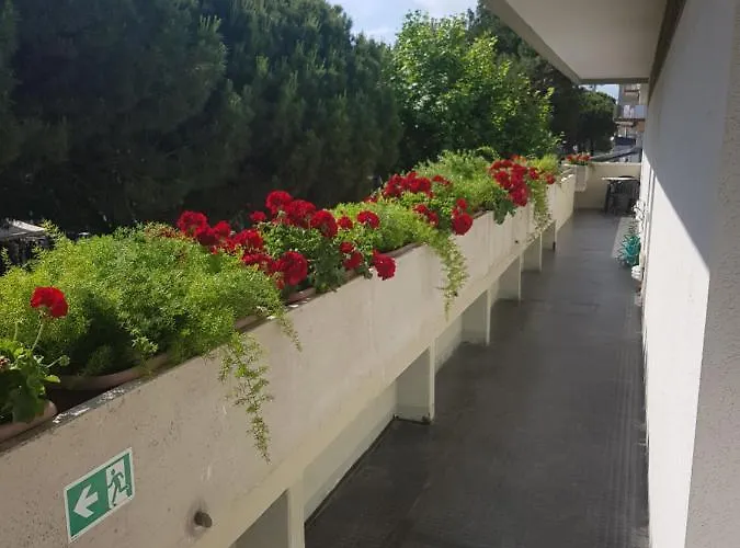 Carducci Apartament *