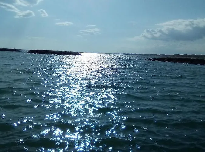 شقة Carducci تْشيزيناتيكو